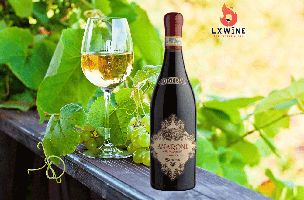 Vang Ý Amarone Della